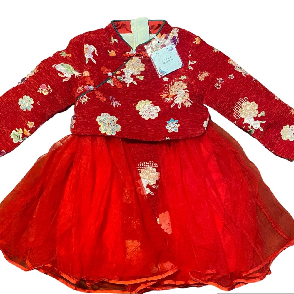 Kids Dress Zyder Brand New with Tag Size 11 Red Color
